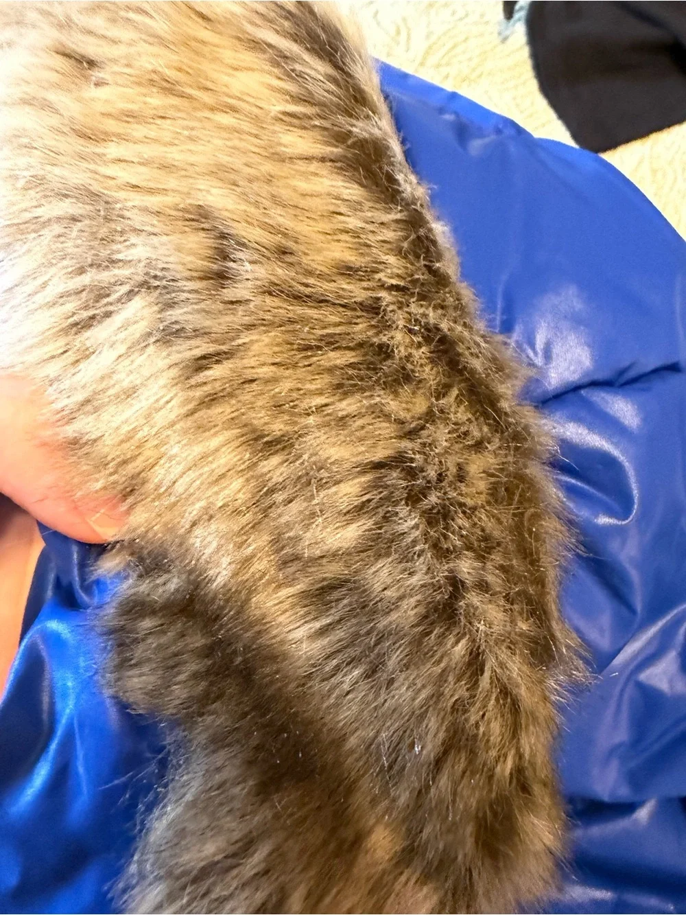 Hanna Andersson insulated puffer